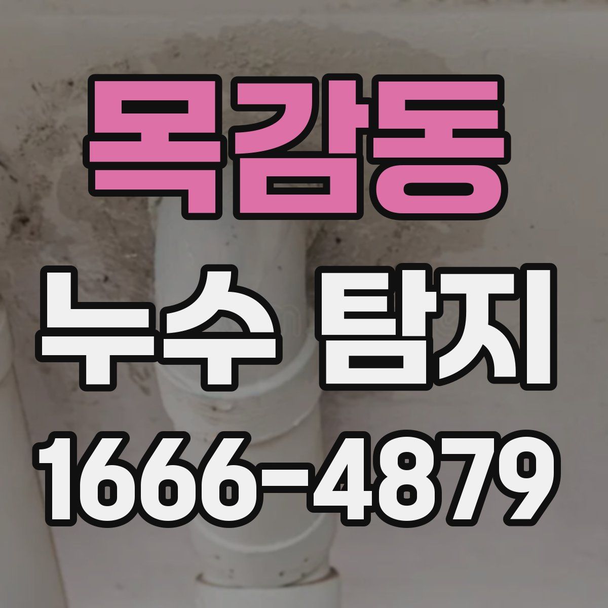 목감동 누수 탐지