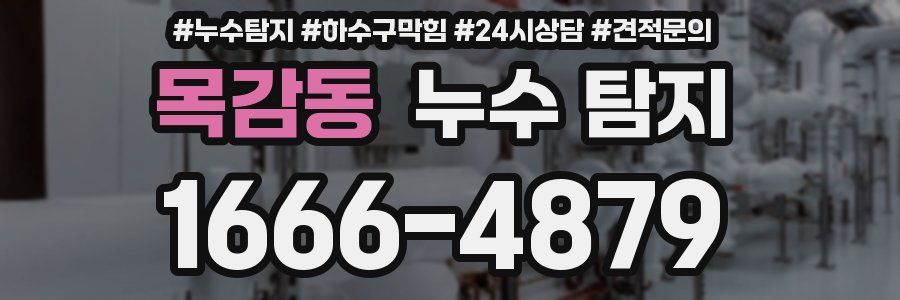 목감동 누수 탐지