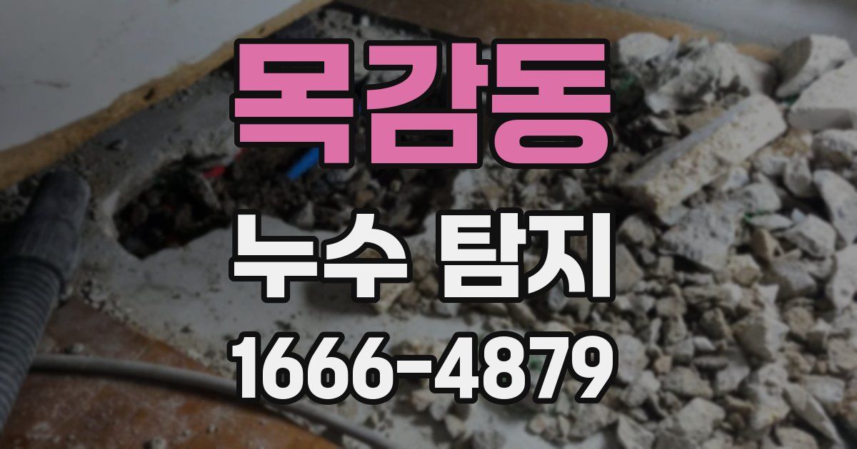 목감동 누수 탐지