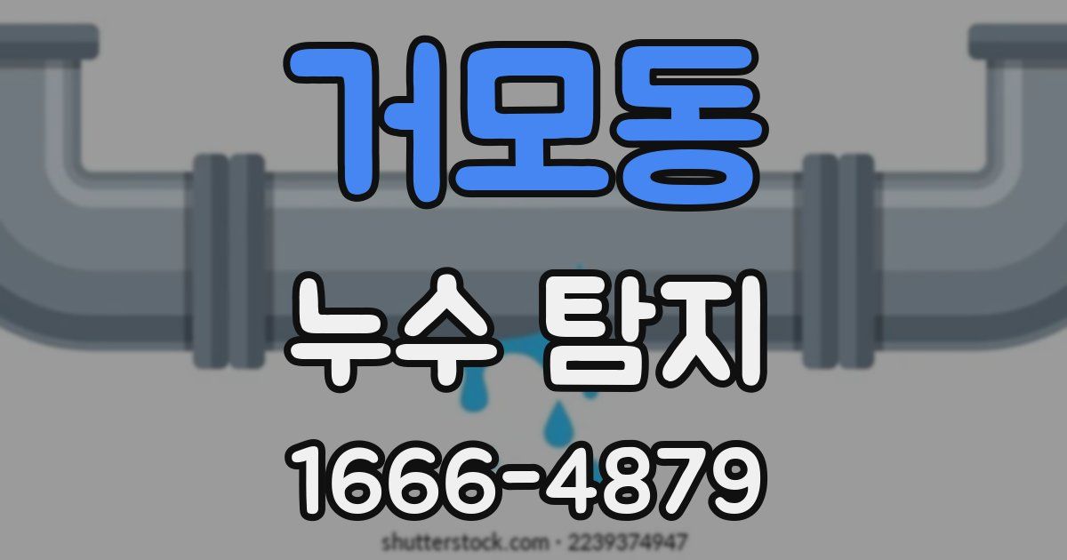 거모동 누수 탐지