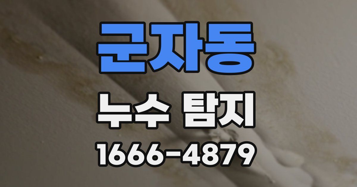 군자동 누수 탐지