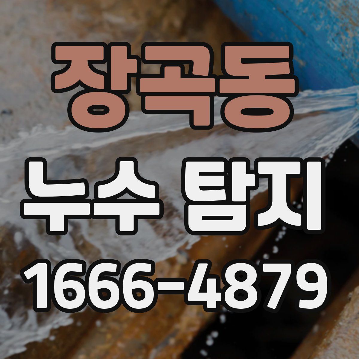 장곡동 누수 탐지