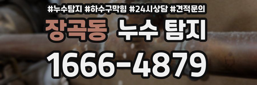 장곡동 누수 탐지