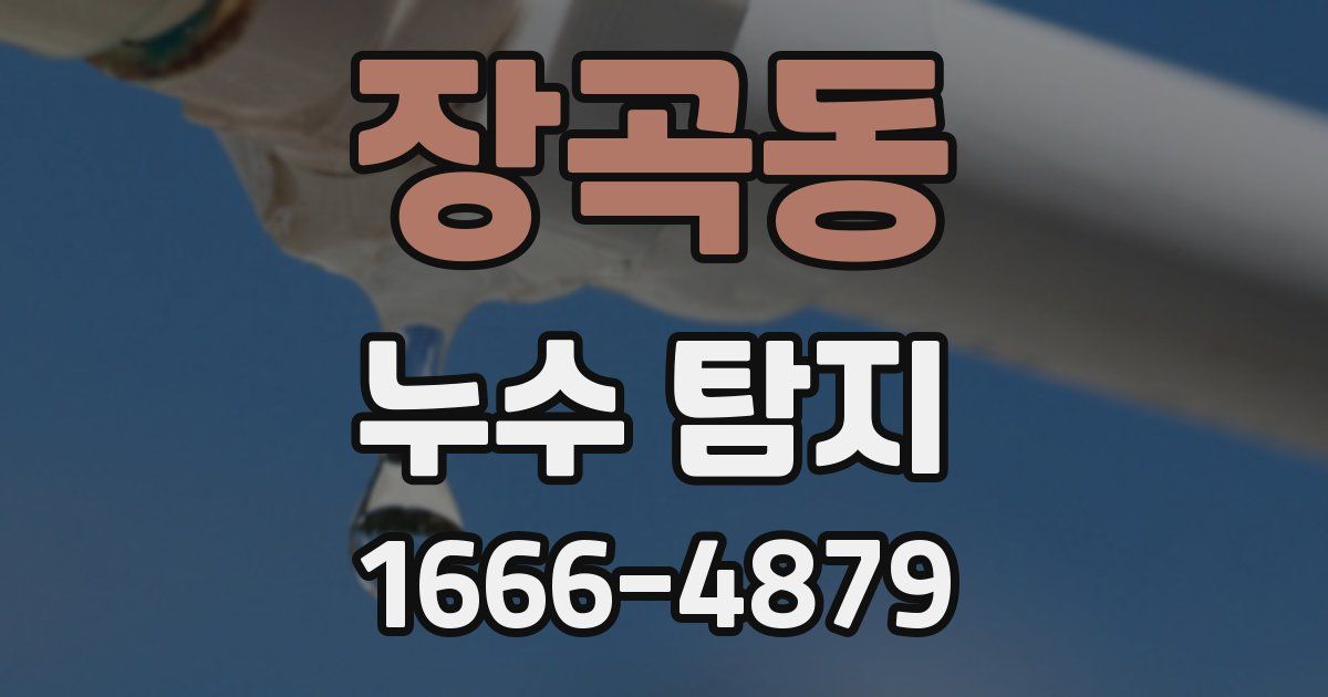 장곡동 누수 탐지