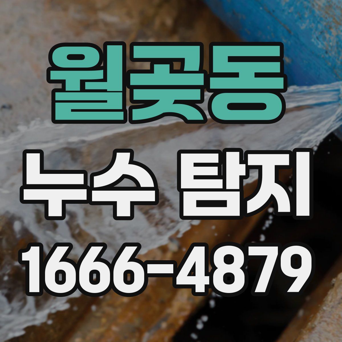 월곶동 누수 탐지