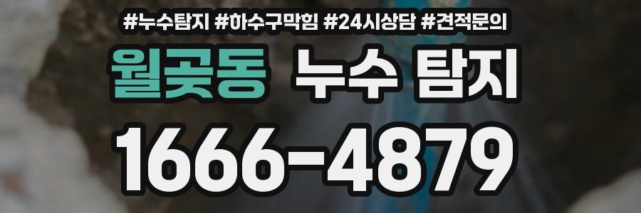 월곶동 누수 탐지