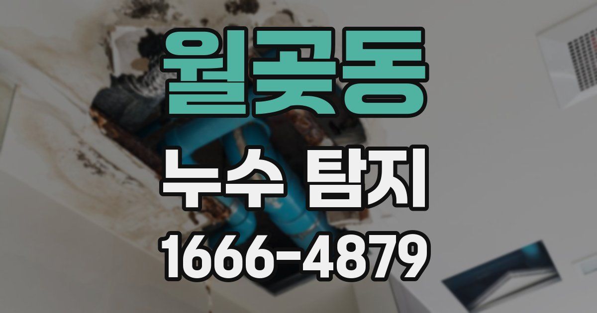월곶동 누수 탐지
