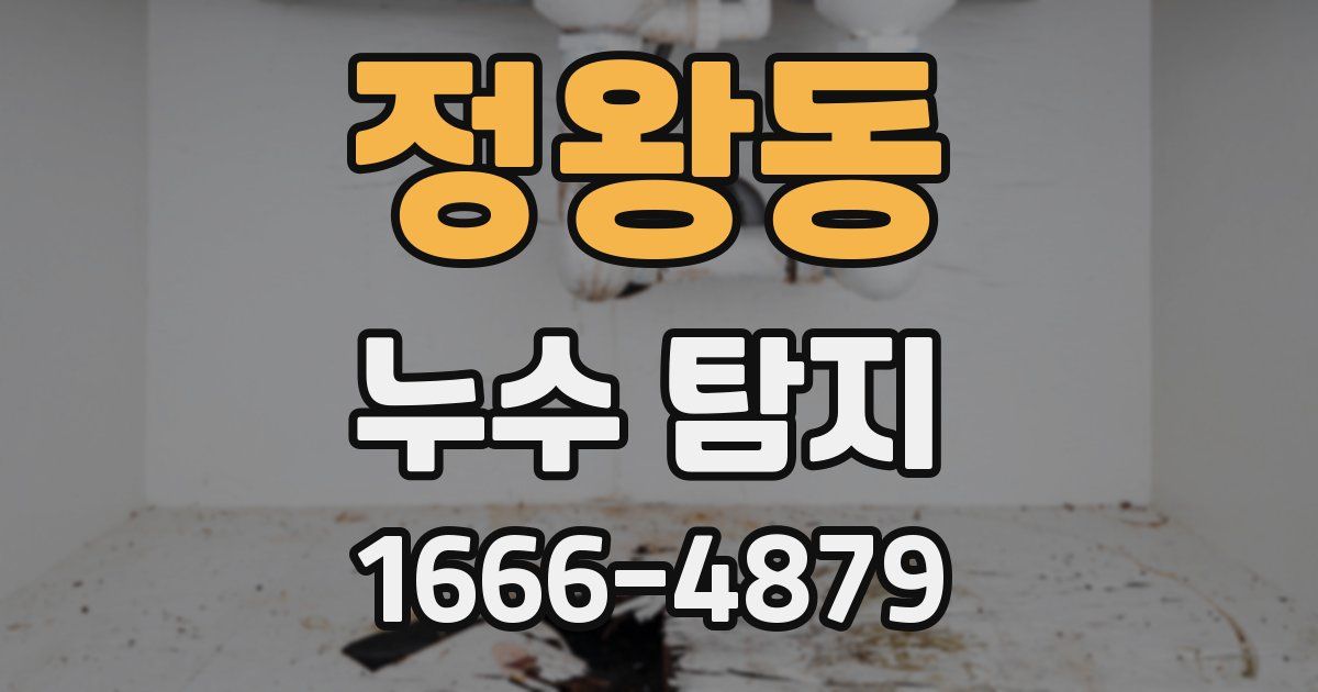 정왕동 누수 탐지