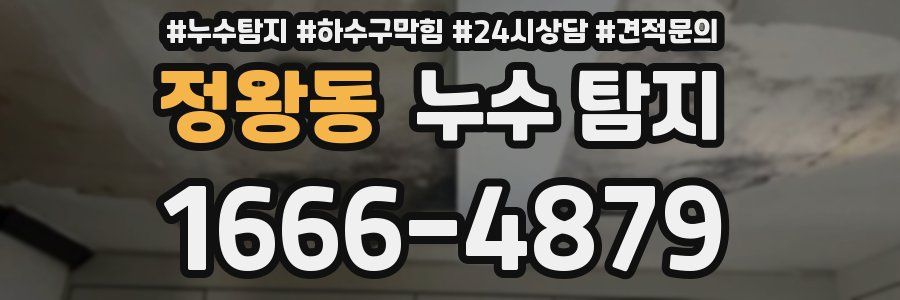 정왕동 누수 탐지