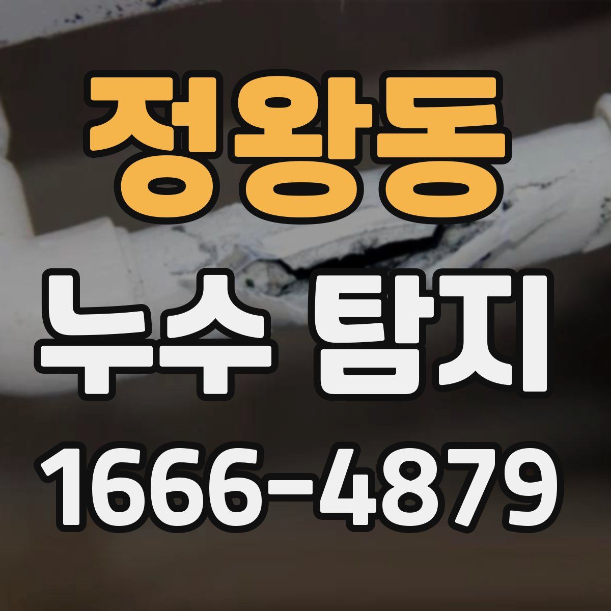 정왕동 누수 탐지