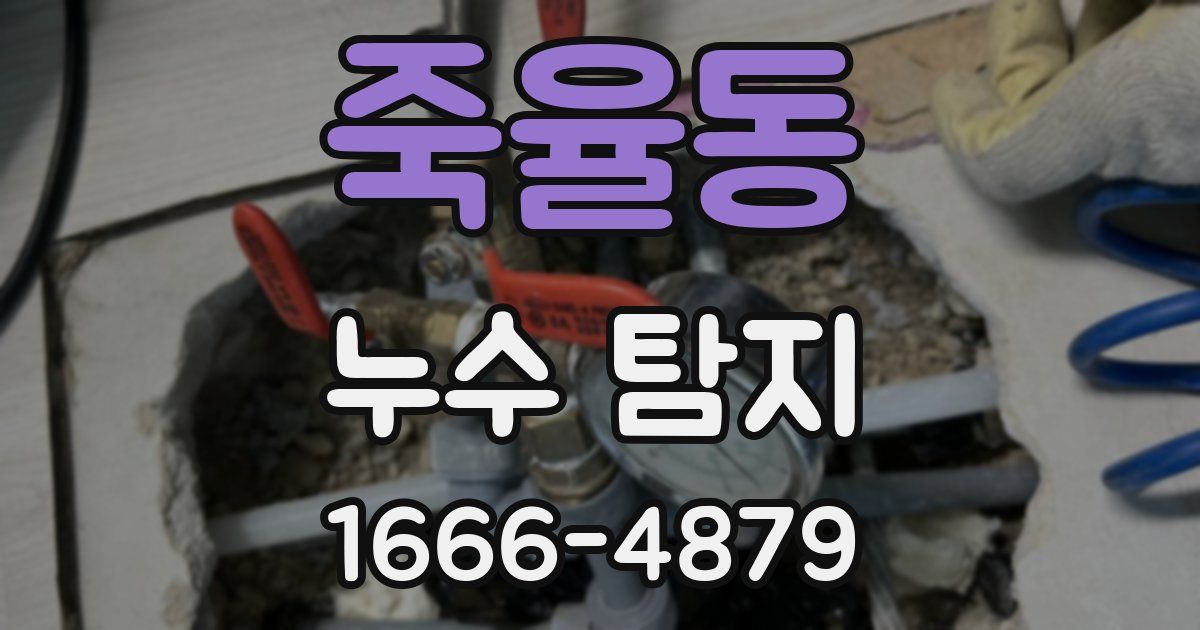 죽율동 누수 탐지