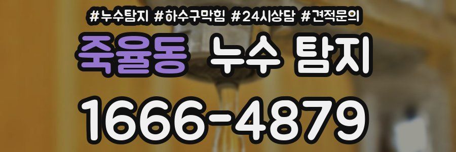 죽율동 누수 탐지