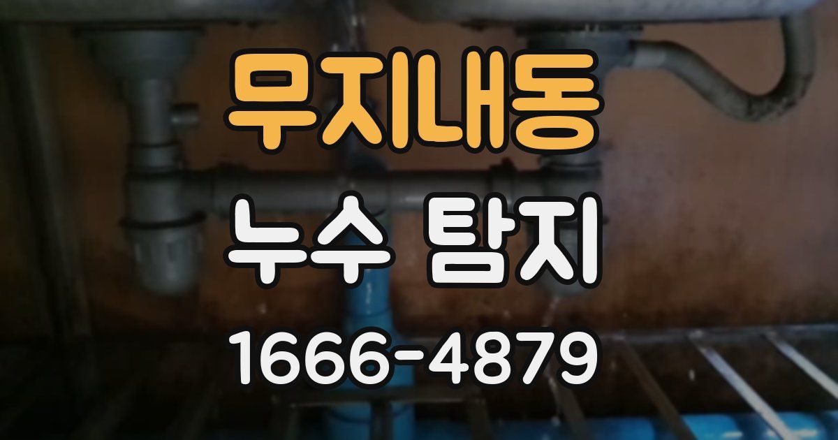무지내동 누수 탐지