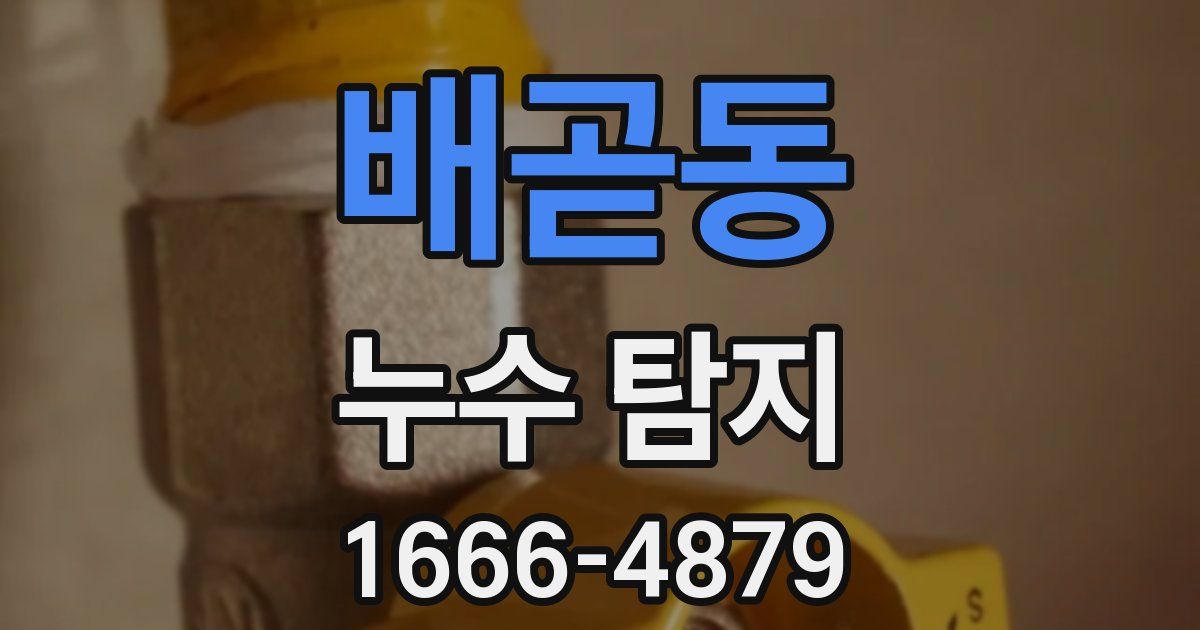 배곧동 누수 탐지