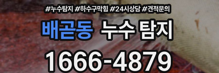 배곧동 누수 탐지