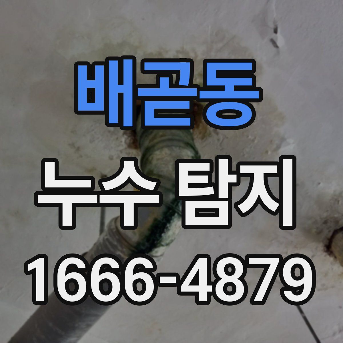 배곧동 누수 탐지