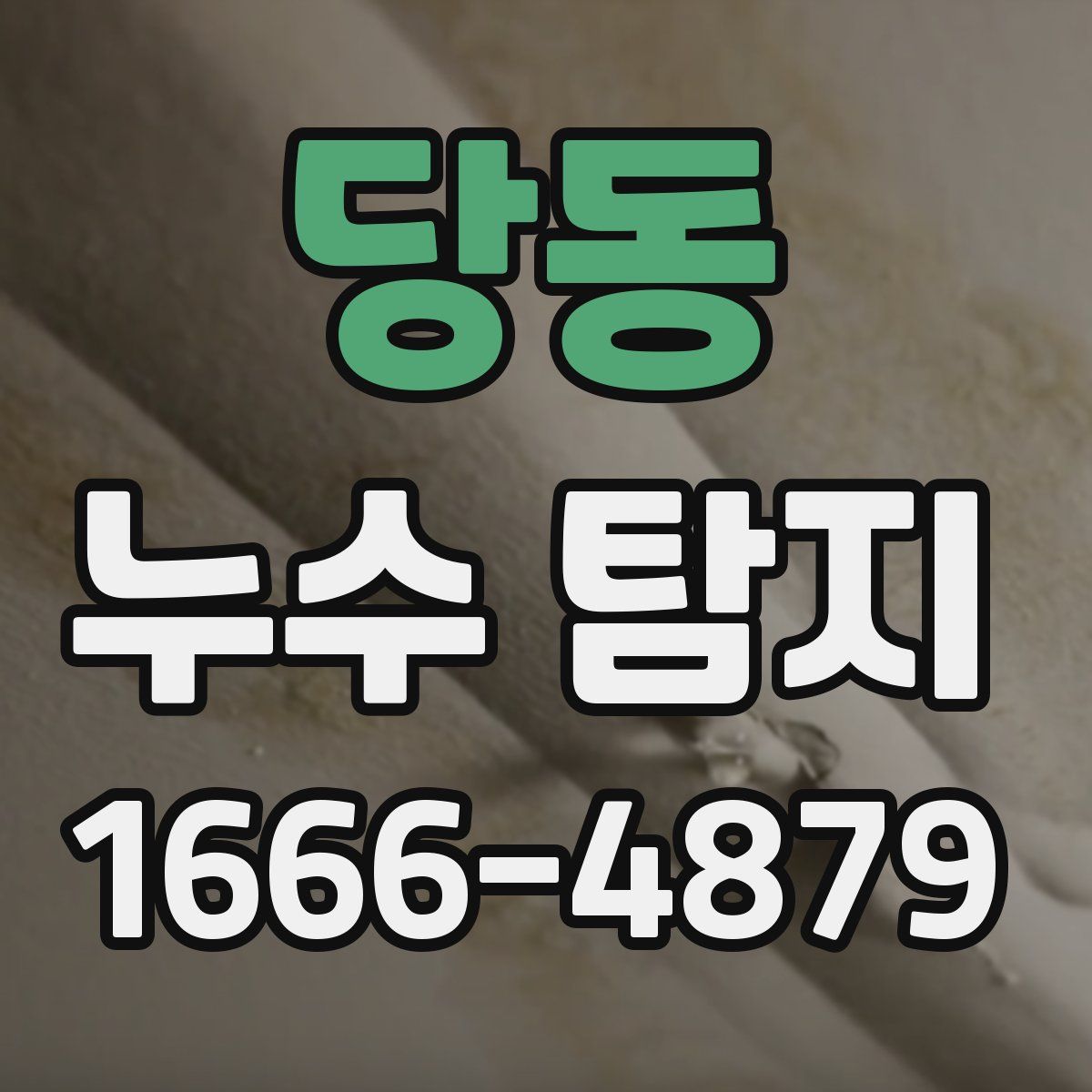 당동 누수 탐지