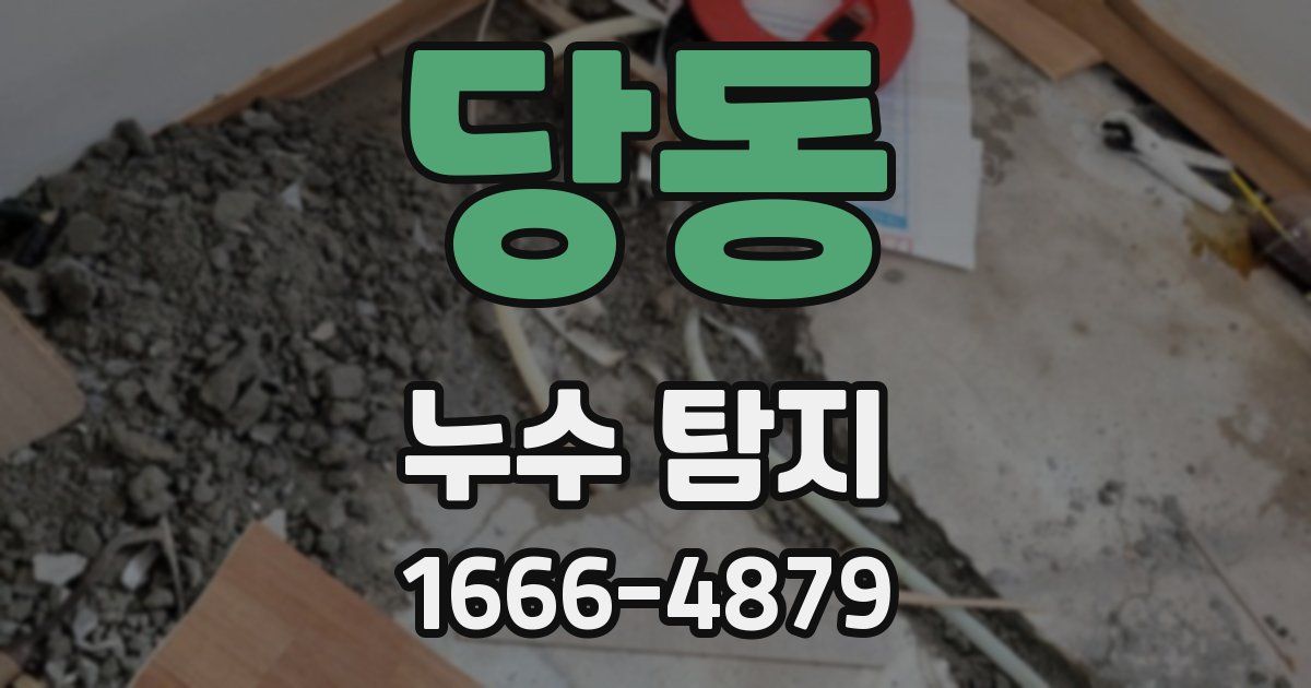 당동 누수 탐지
