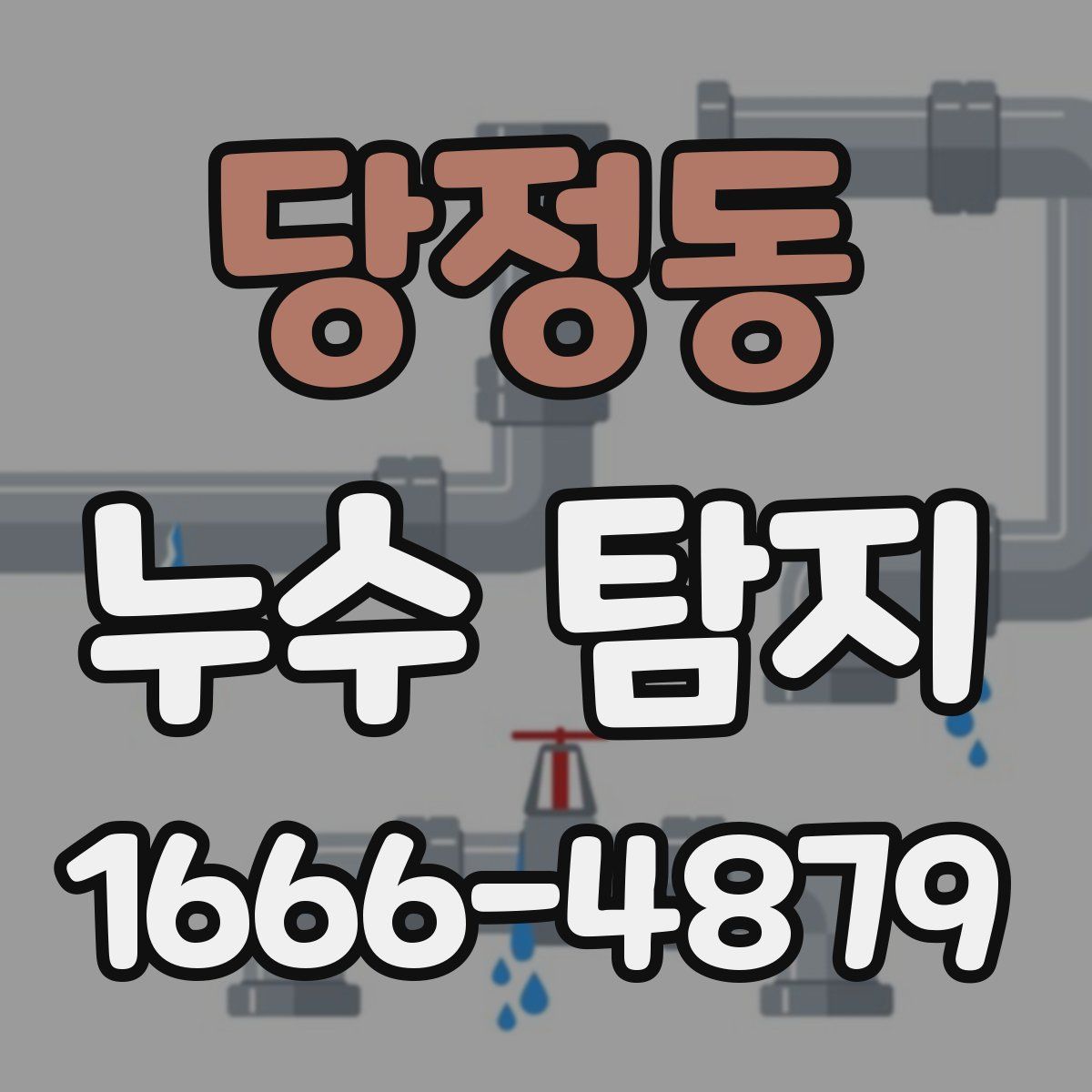 당정동 누수 탐지