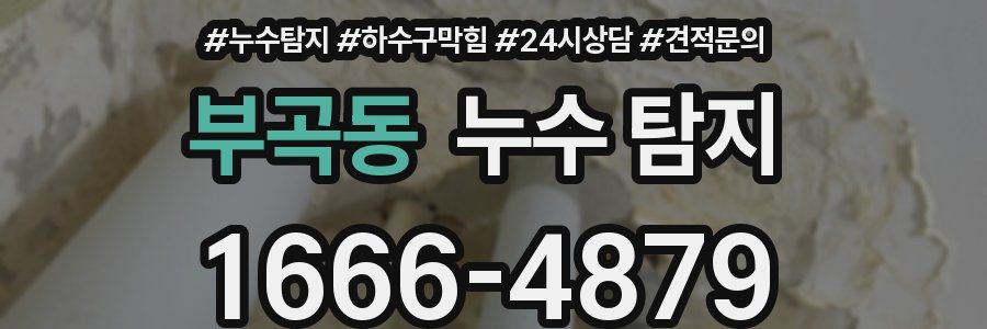 부곡동 누수 탐지