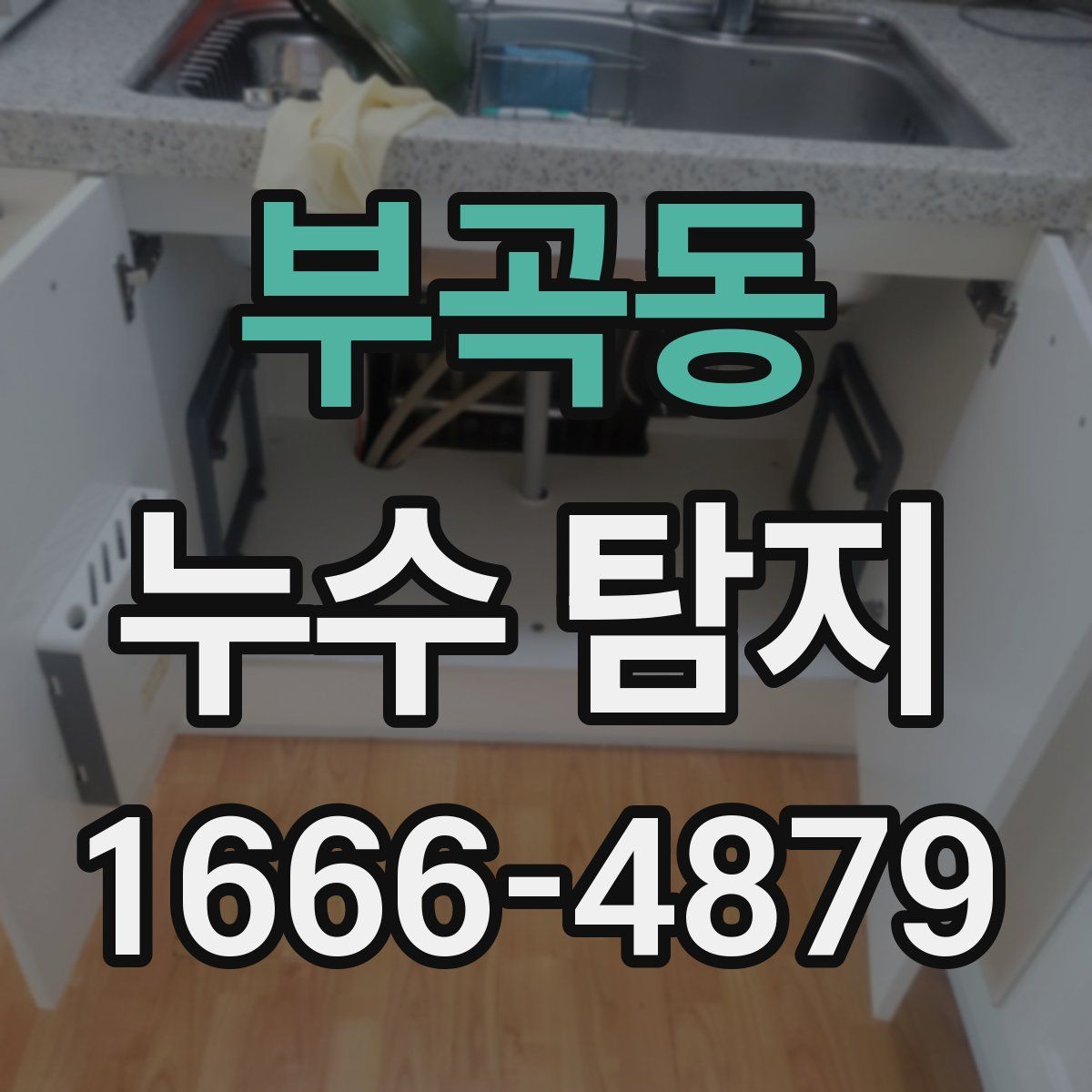 부곡동 누수 탐지
