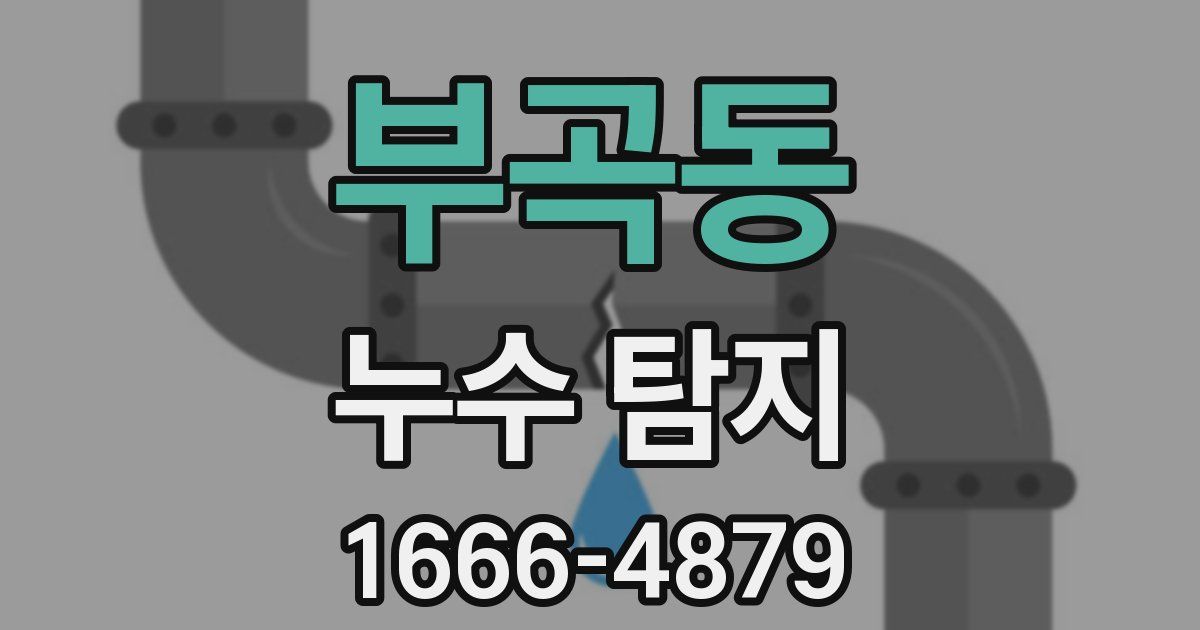 부곡동 누수 탐지