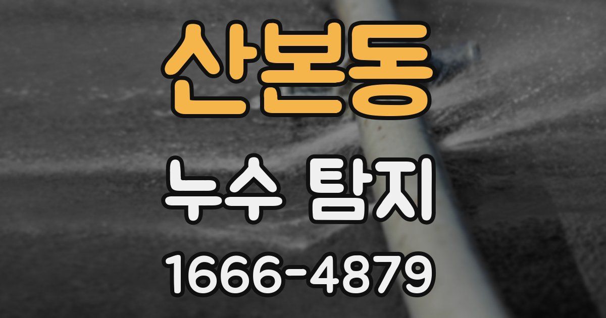 산본동 누수 탐지