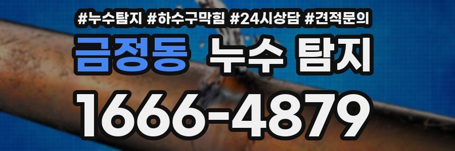 금정동 누수 탐지