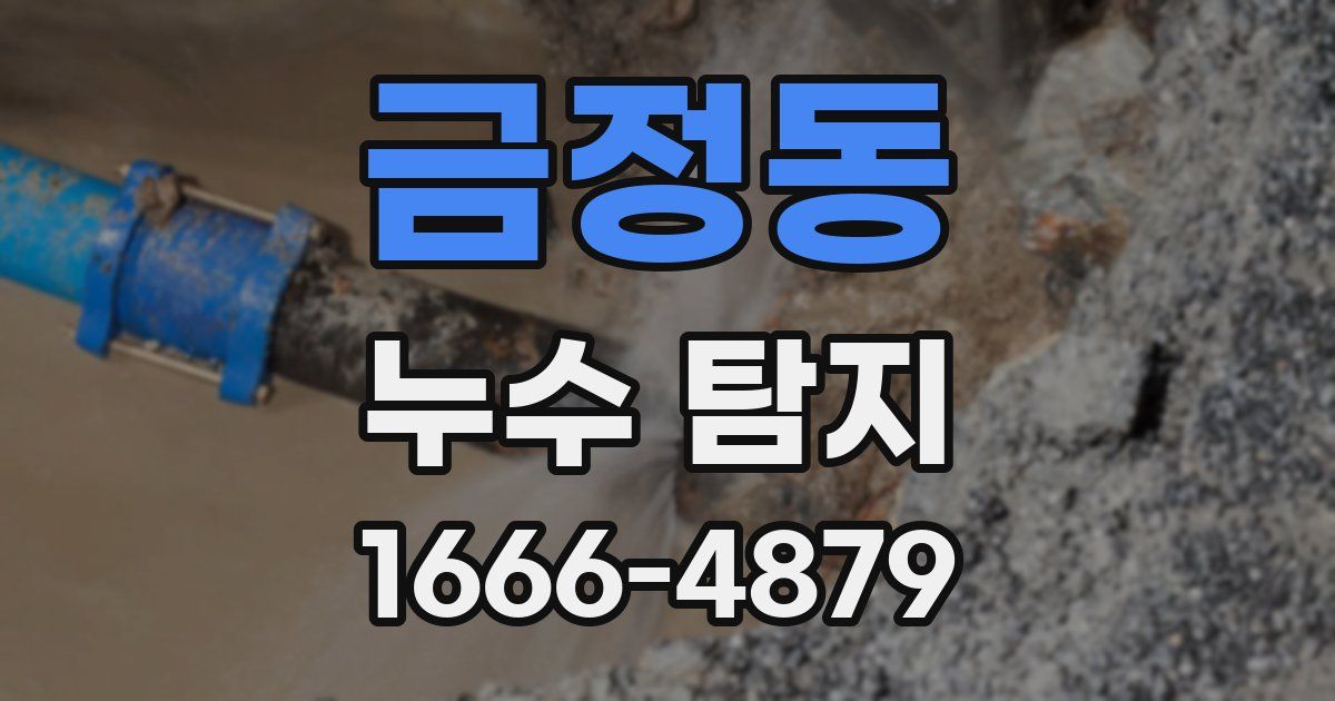 금정동 누수 탐지