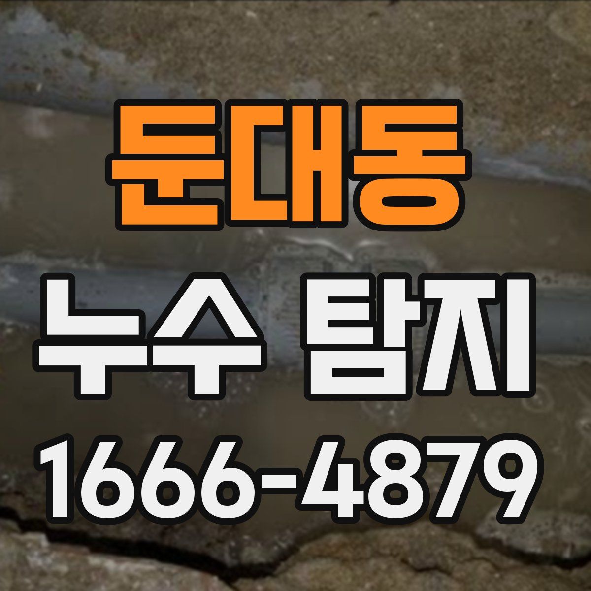 둔대동 누수 탐지