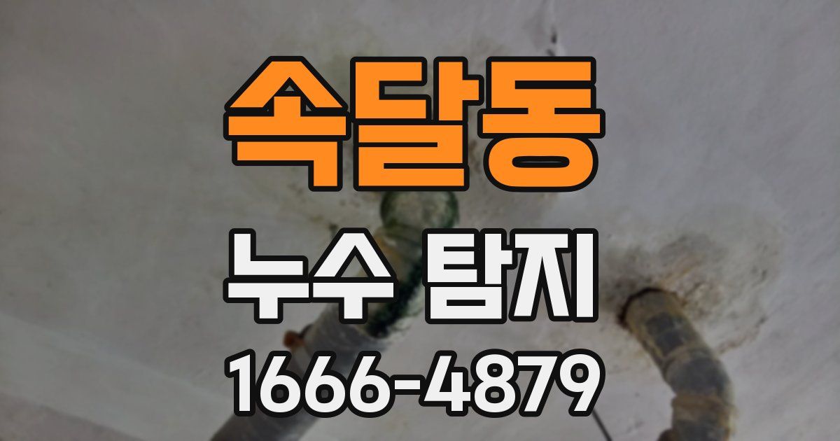 속달동 누수 탐지