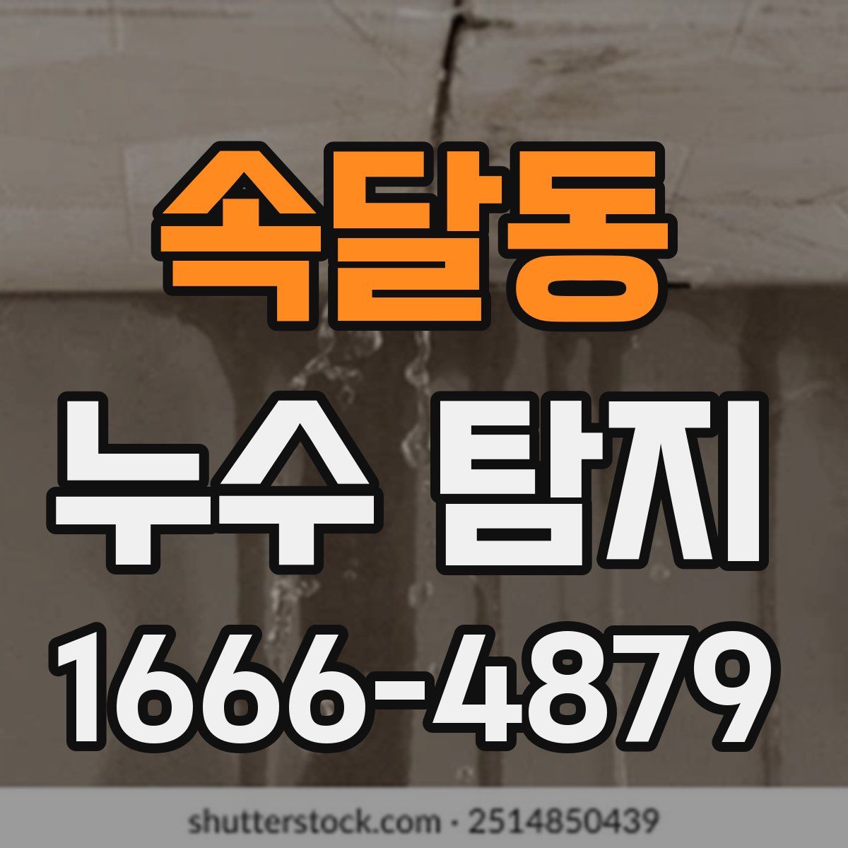 속달동 누수 탐지