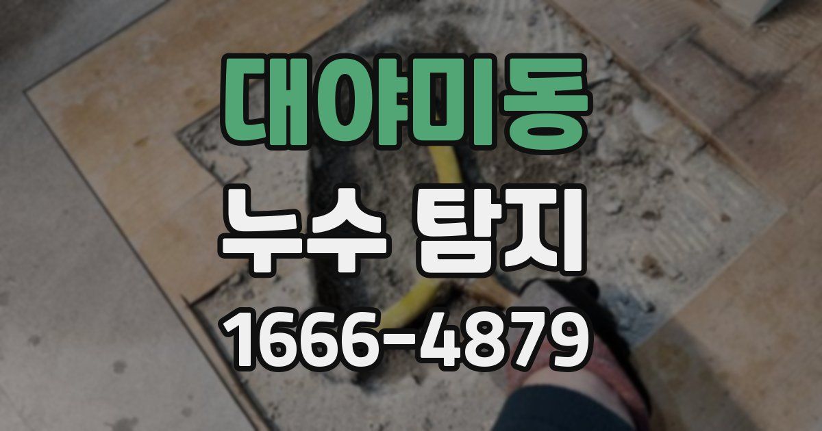 대야미동 누수 탐지