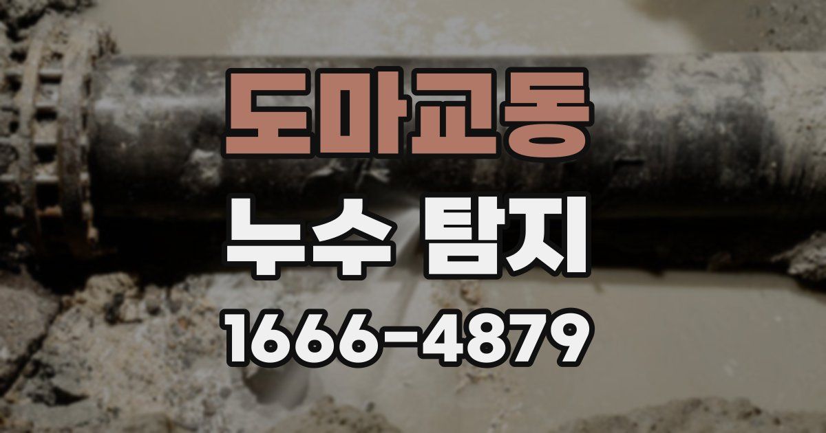 도마교동 누수 탐지