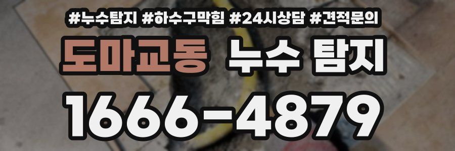 도마교동 누수 탐지