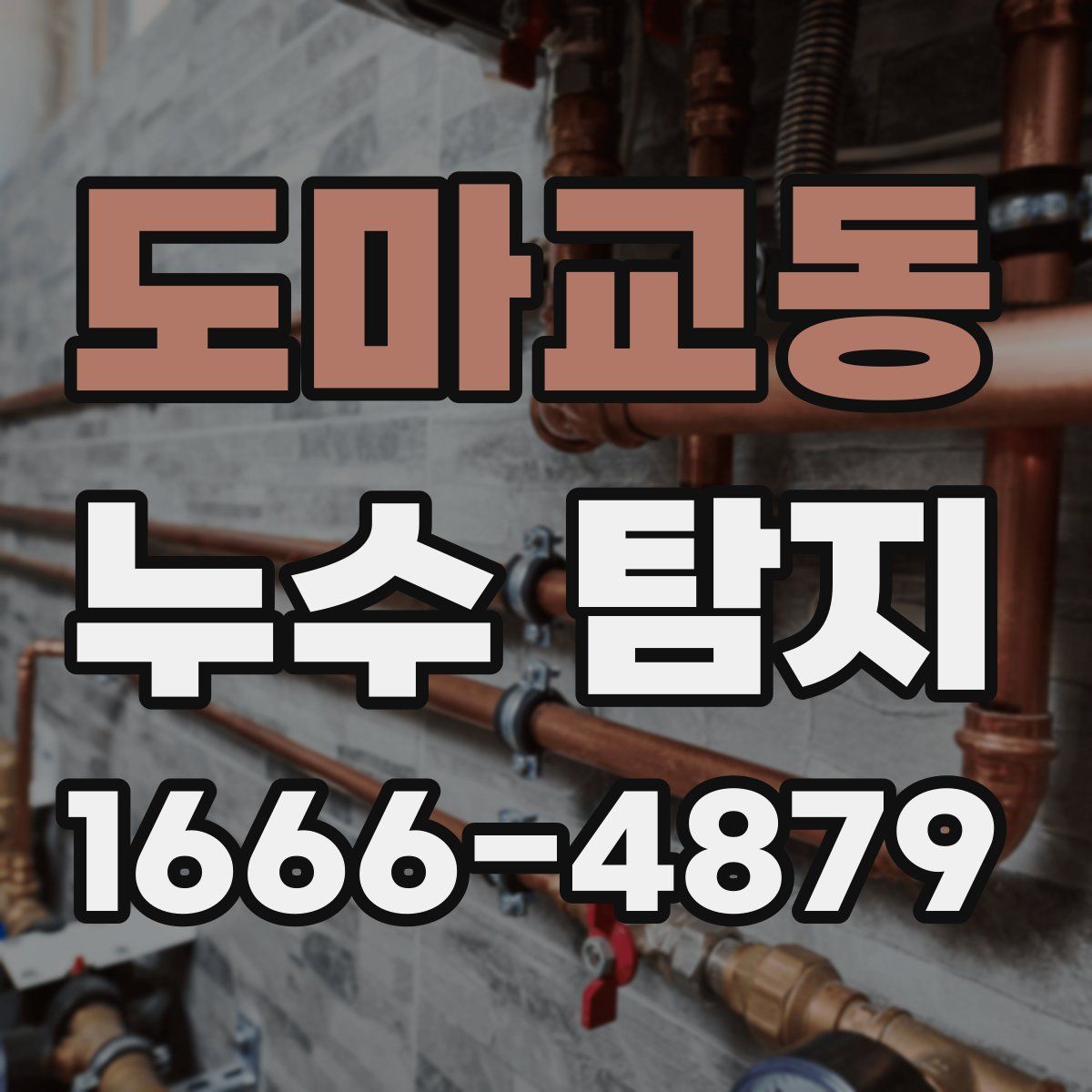 도마교동 누수 탐지