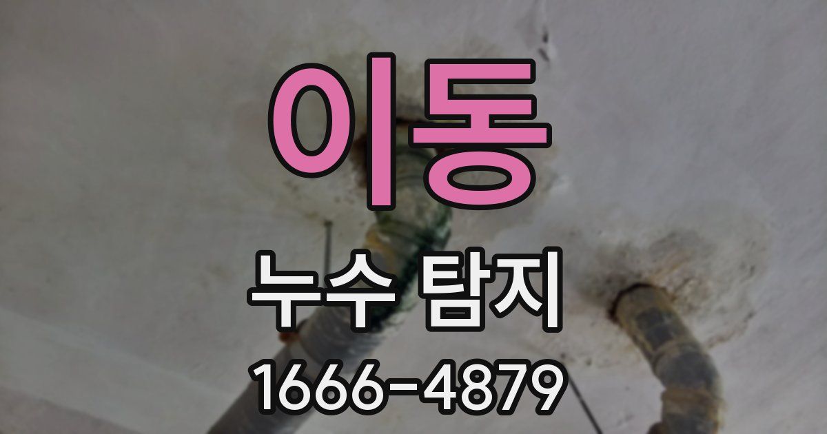 이동 누수 탐지