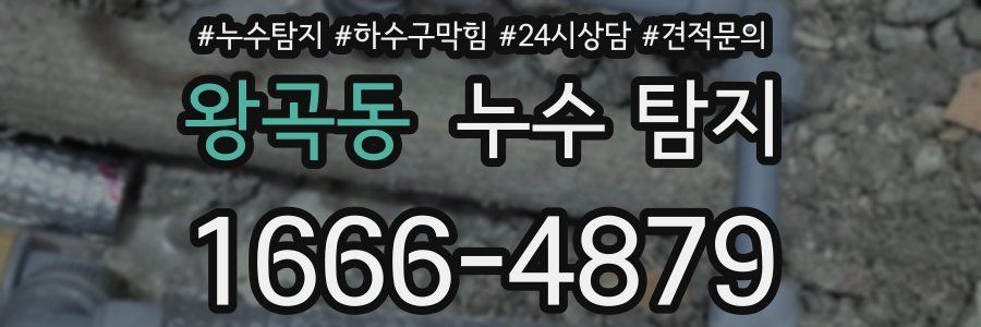 왕곡동 누수 탐지