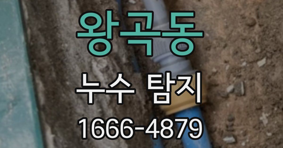 왕곡동 누수 탐지