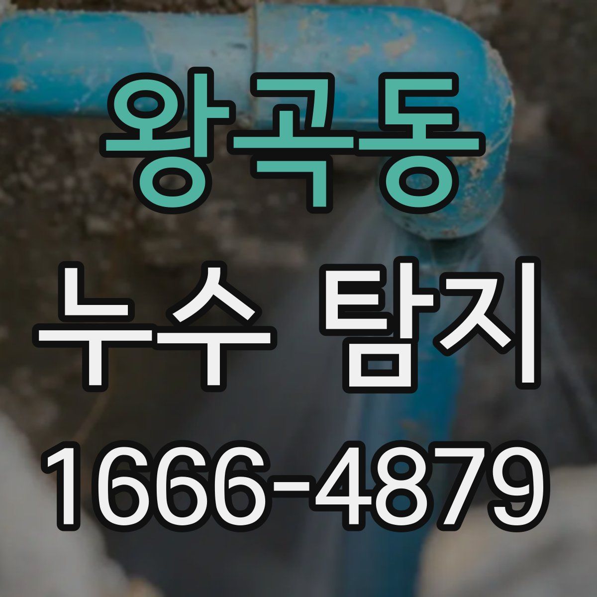 왕곡동 누수 탐지