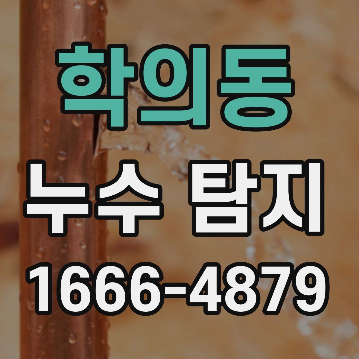 학의동 누수 탐지
