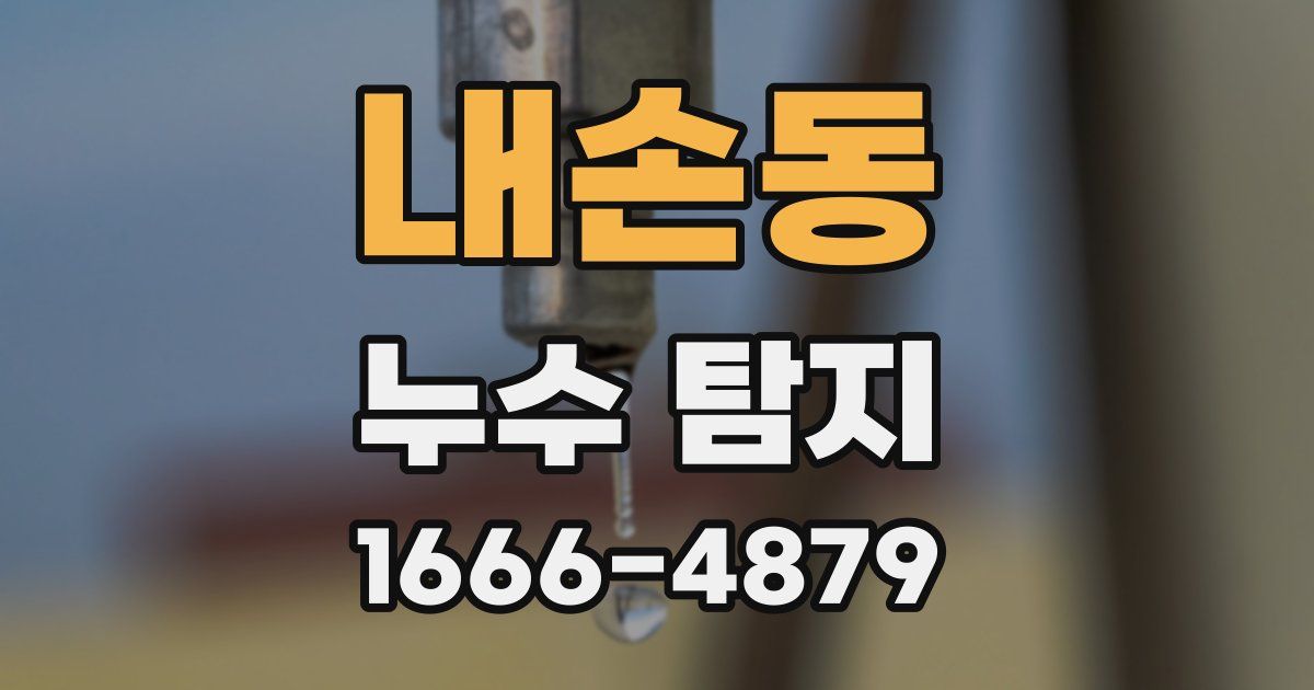내손동 누수 탐지