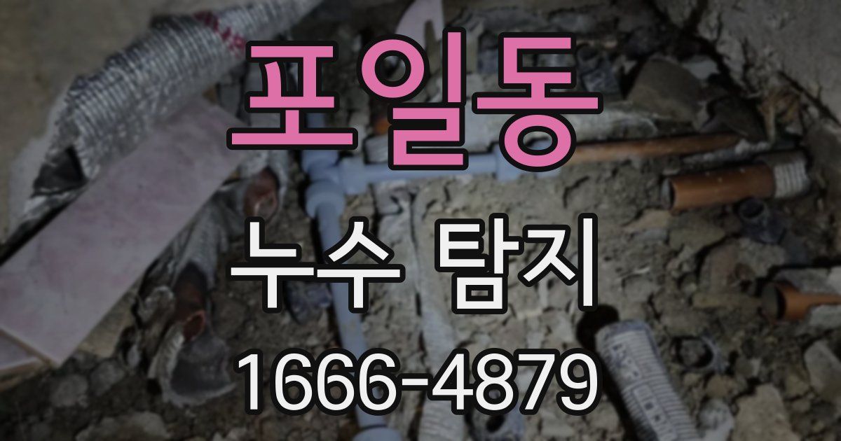 포일동 누수 탐지