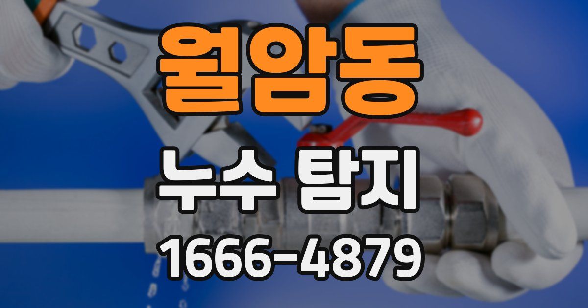 월암동 누수 탐지