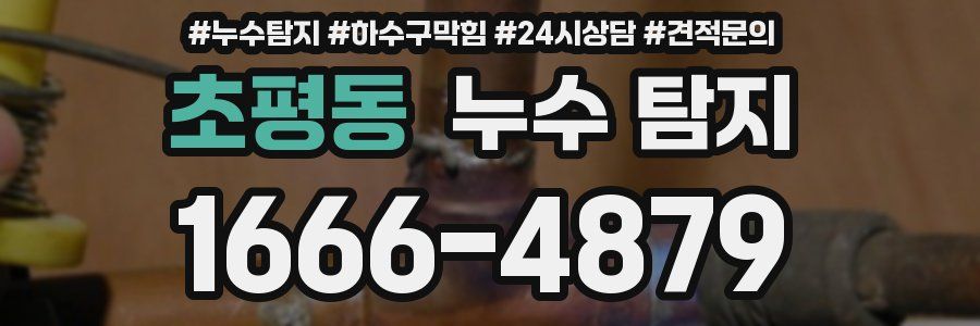 초평동 누수 탐지