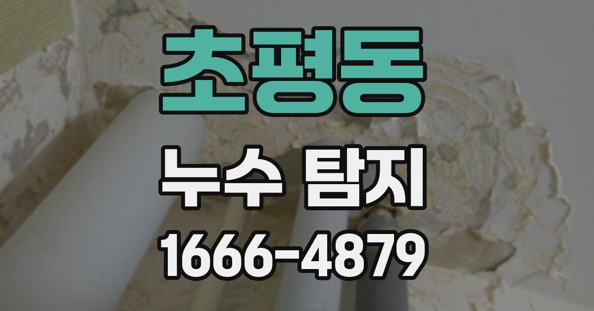 초평동 누수 탐지