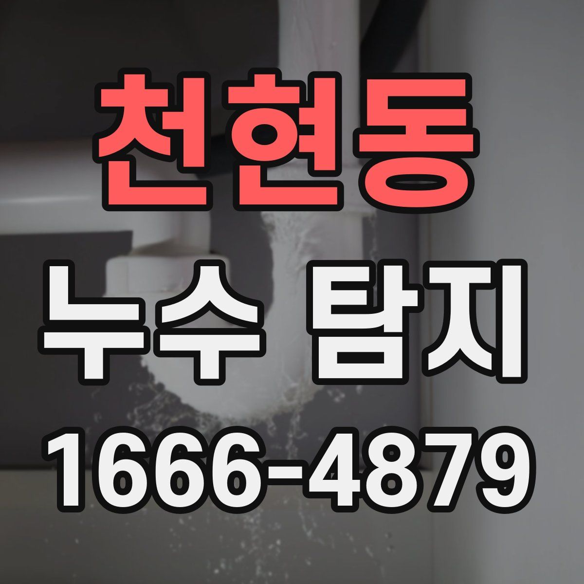 천현동 누수 탐지