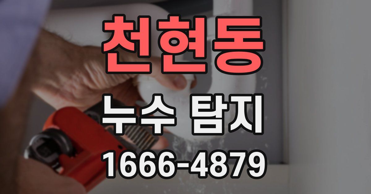 천현동 누수 탐지