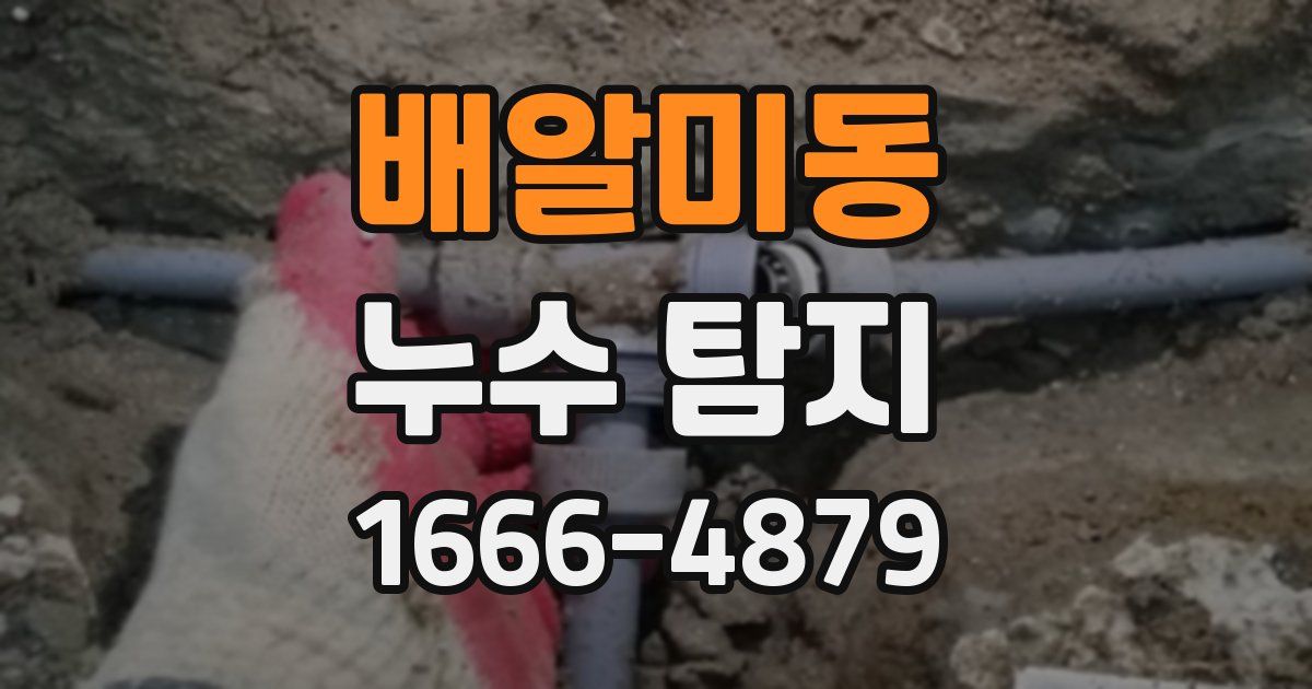 배알미동 누수 탐지
