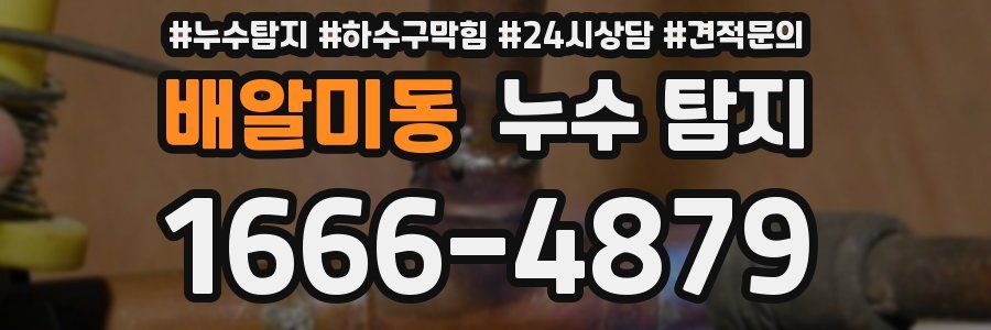 배알미동 누수 탐지